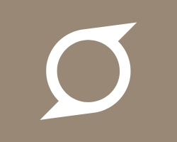 Icoon